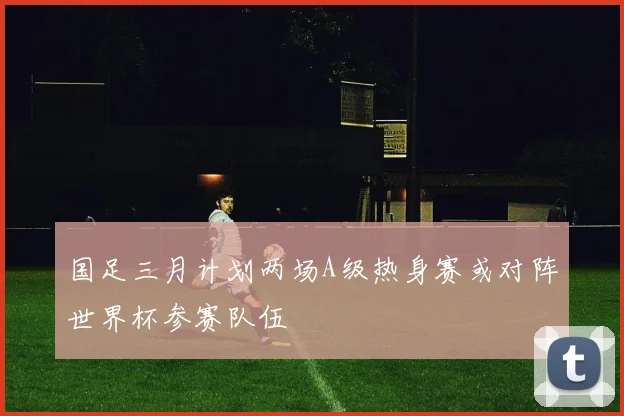 国足三月计划两场A级热身赛或对阵世界杯参赛队伍