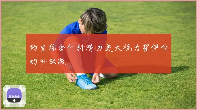 约克称舍什科潜力更大视为霍伊伦的升级版