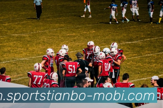 天博体育APP 高清赛事图